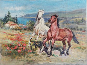 Cai in galop