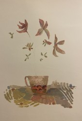 Flori