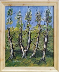 La margine de padure