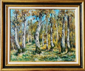 Luminis in padure