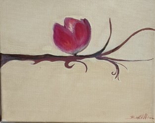 Magnolie