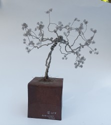 Ruginirea Verii
