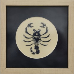 zodiac  Scorpion